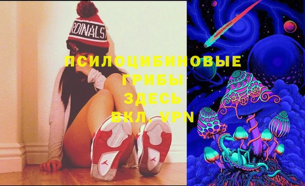 ешки Кинешма