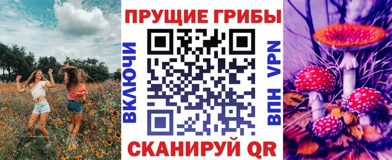 Купить где  Омутнинск  Галлюциногенные грибы Psilocybe 